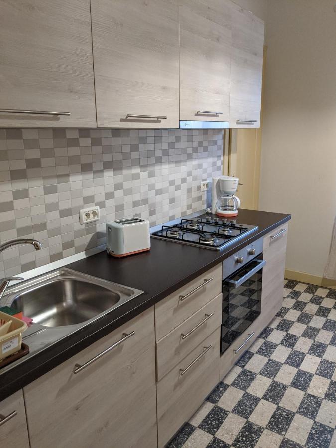Cristian Apartment Near Old Town 蒂米什瓦拉 外观 照片