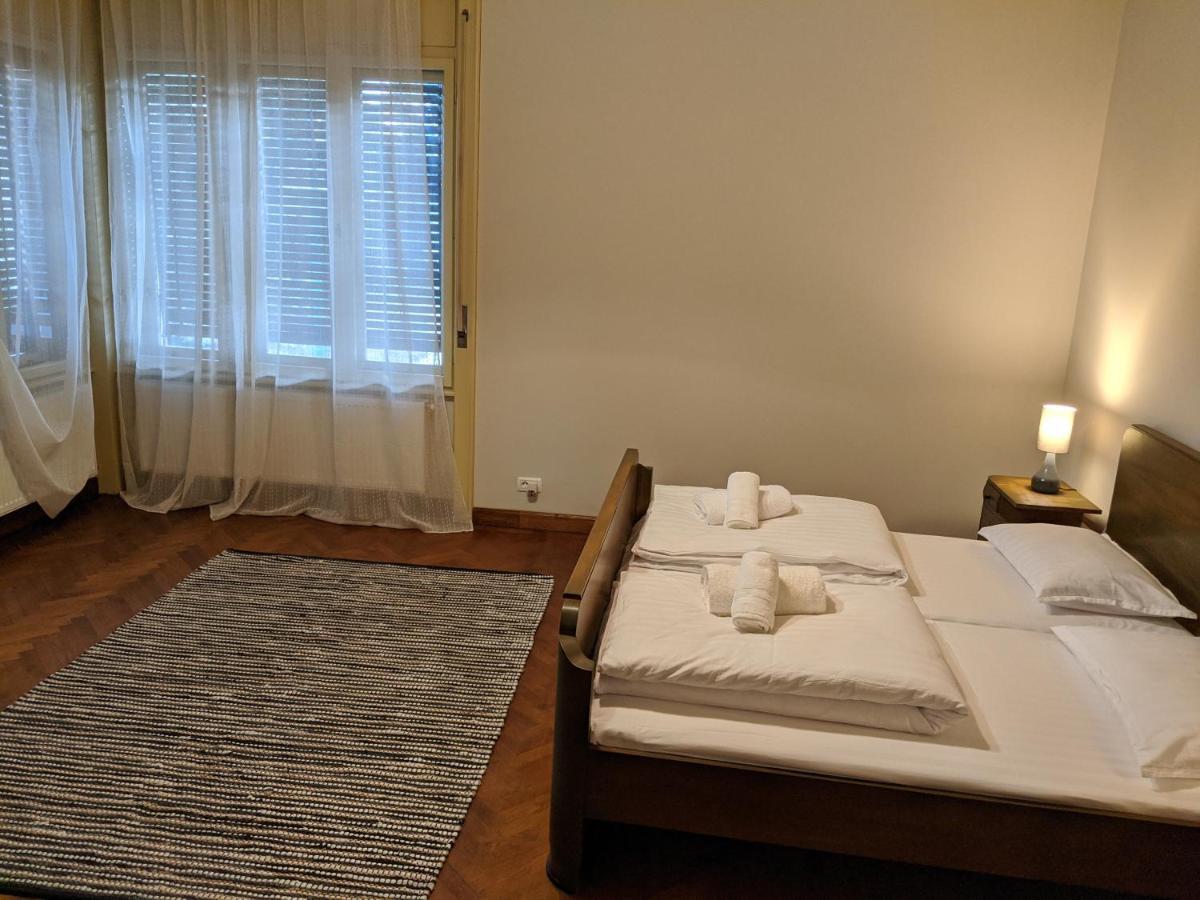 Cristian Apartment Near Old Town 蒂米什瓦拉 外观 照片