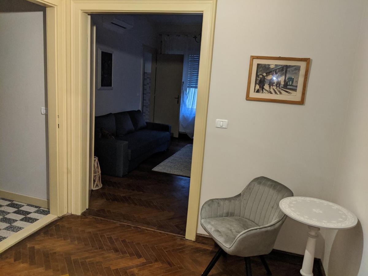 Cristian Apartment Near Old Town 蒂米什瓦拉 外观 照片