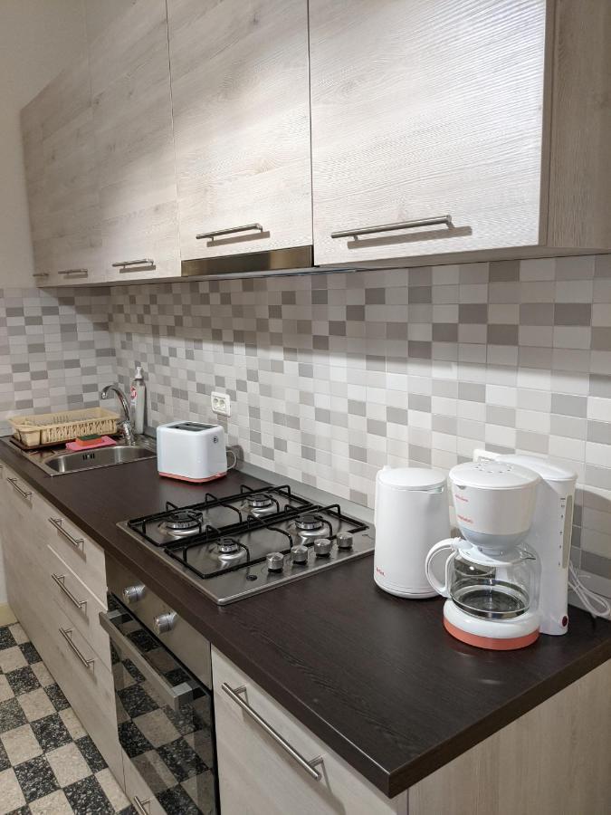Cristian Apartment Near Old Town 蒂米什瓦拉 外观 照片