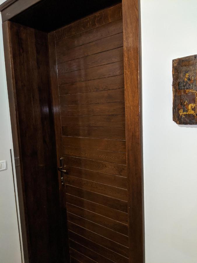 Cristian Apartment Near Old Town 蒂米什瓦拉 外观 照片