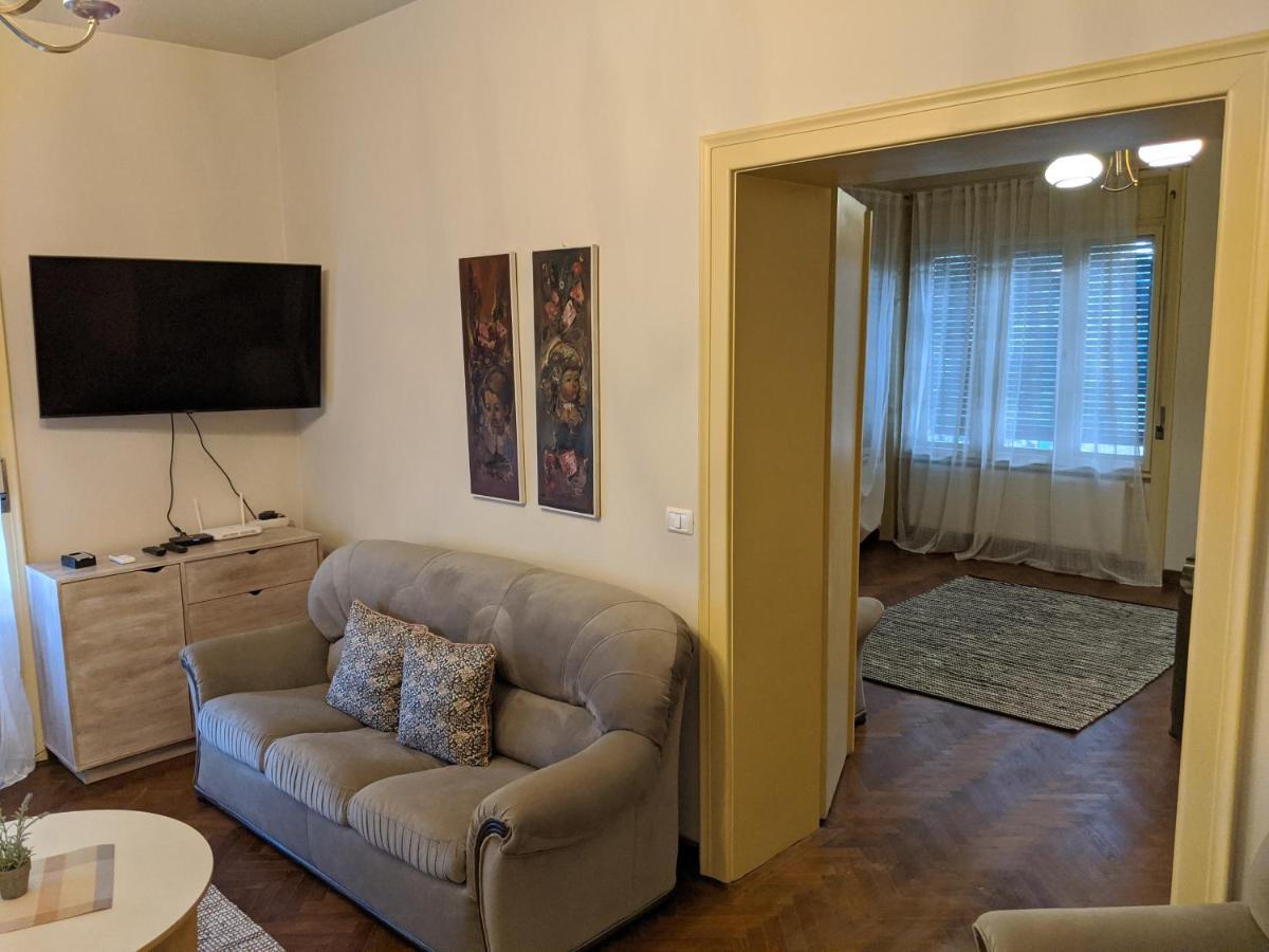 Cristian Apartment Near Old Town 蒂米什瓦拉 外观 照片