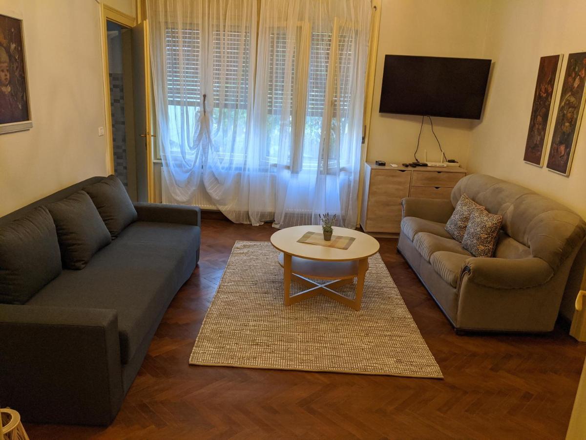 Cristian Apartment Near Old Town 蒂米什瓦拉 外观 照片