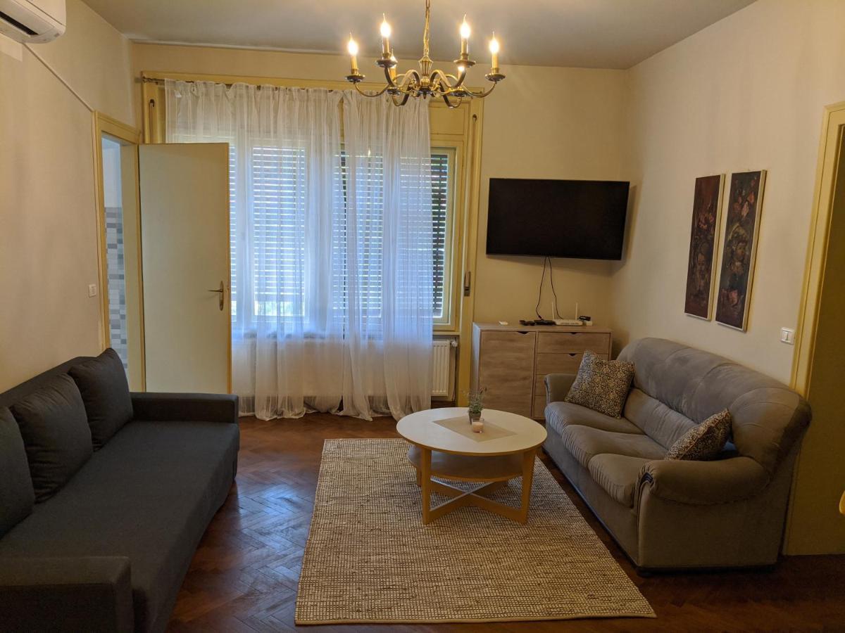 Cristian Apartment Near Old Town 蒂米什瓦拉 外观 照片